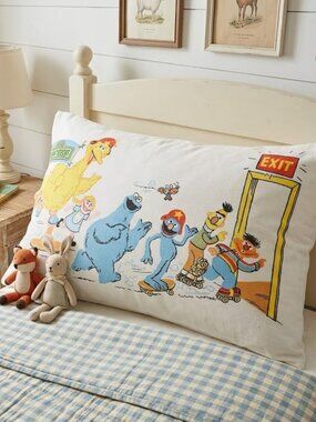 Vintage Sesame Street Pillowcase – No Tariffs - Made in the USA - Big Bird Skate